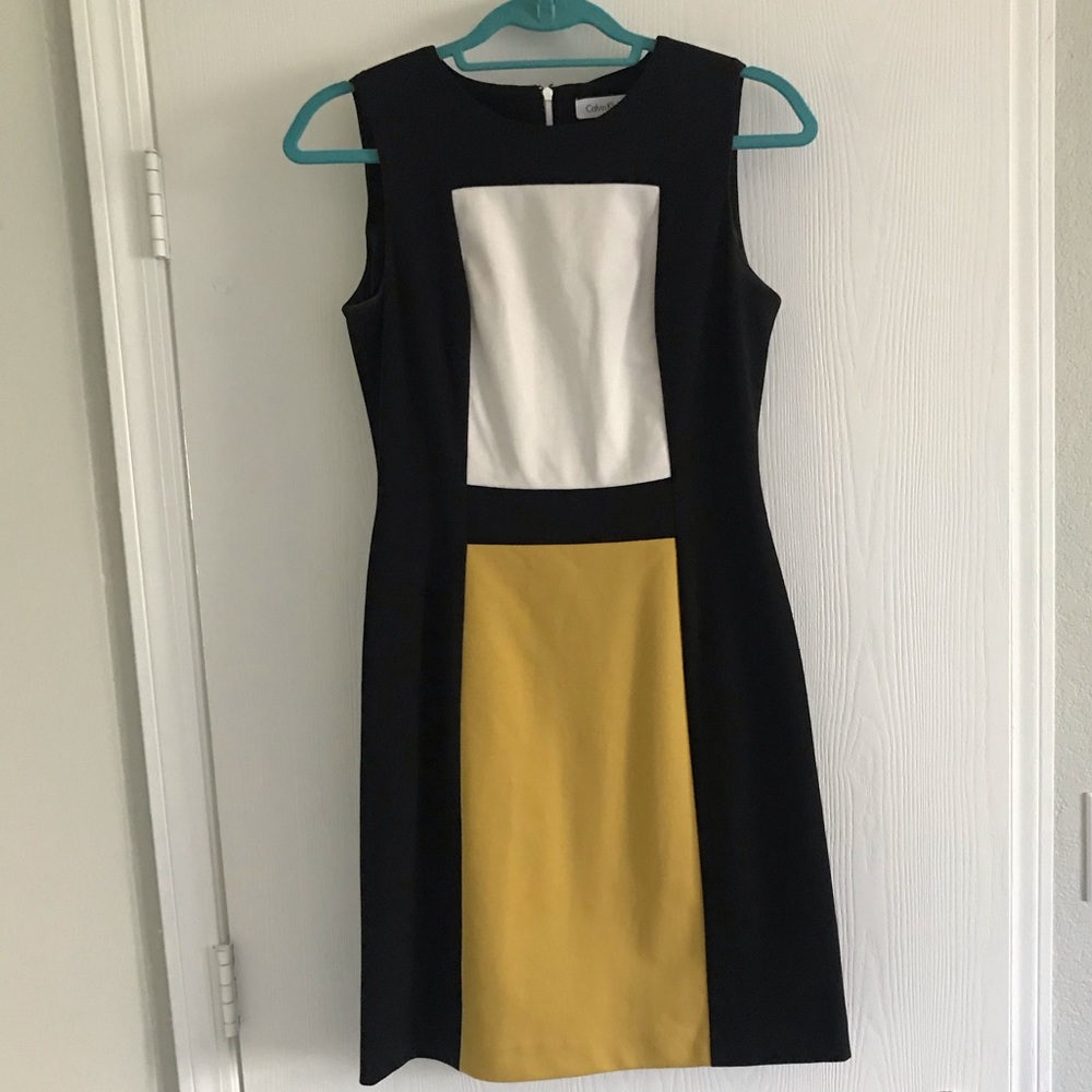 Calvin Klein Color Block Dress